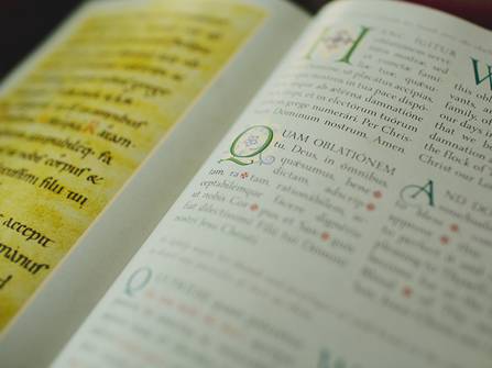 244 Ancient Manuscripts Mass