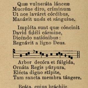 89373 vexilla arbor decora 1896 Graduel romain